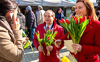 Olsztyńska starówka tulipanami płynąca